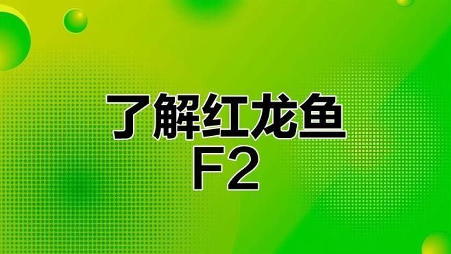 公安紅龍魚