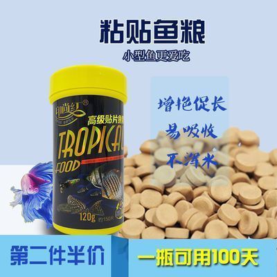 斗魚吃什么牌子飼料最好（斗魚飼料的選擇和水質管理的重要性）