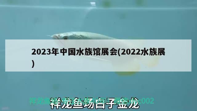 2023年中國水族館展會(2022水族展)