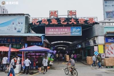 芳村花鳥魚蟲市場新址規劃圖：廣州芳村花鳥魚蟲市場新址規劃