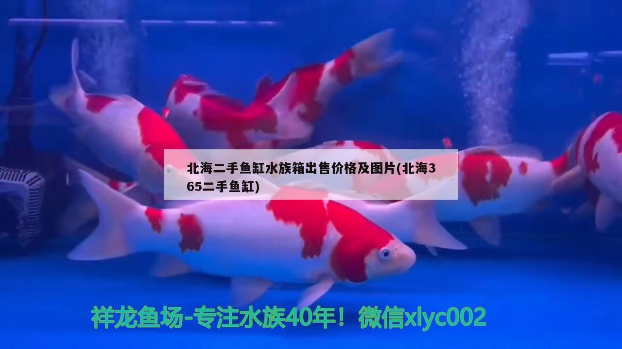 北海二手魚缸水族箱出售價格及圖片(北海365二手魚缸)