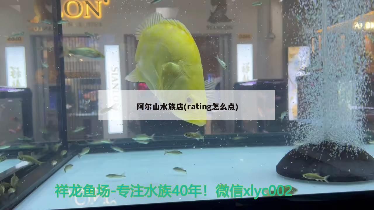 阿爾山水族店(rating怎么點)