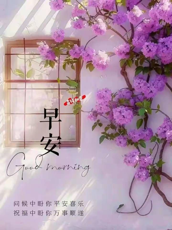 每天關(guān)注白貴妃