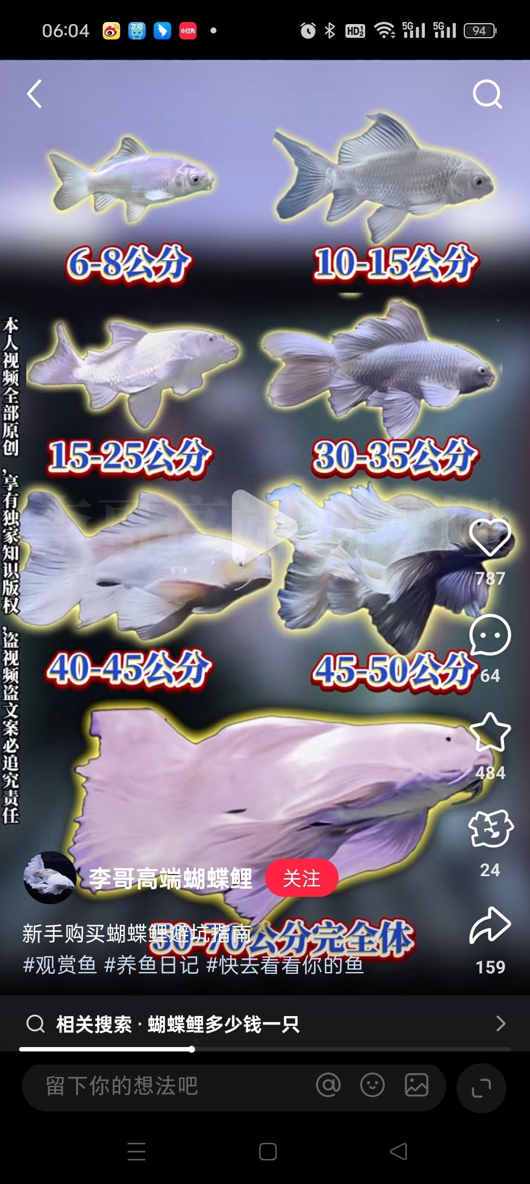 每天關(guān)注白貴妃