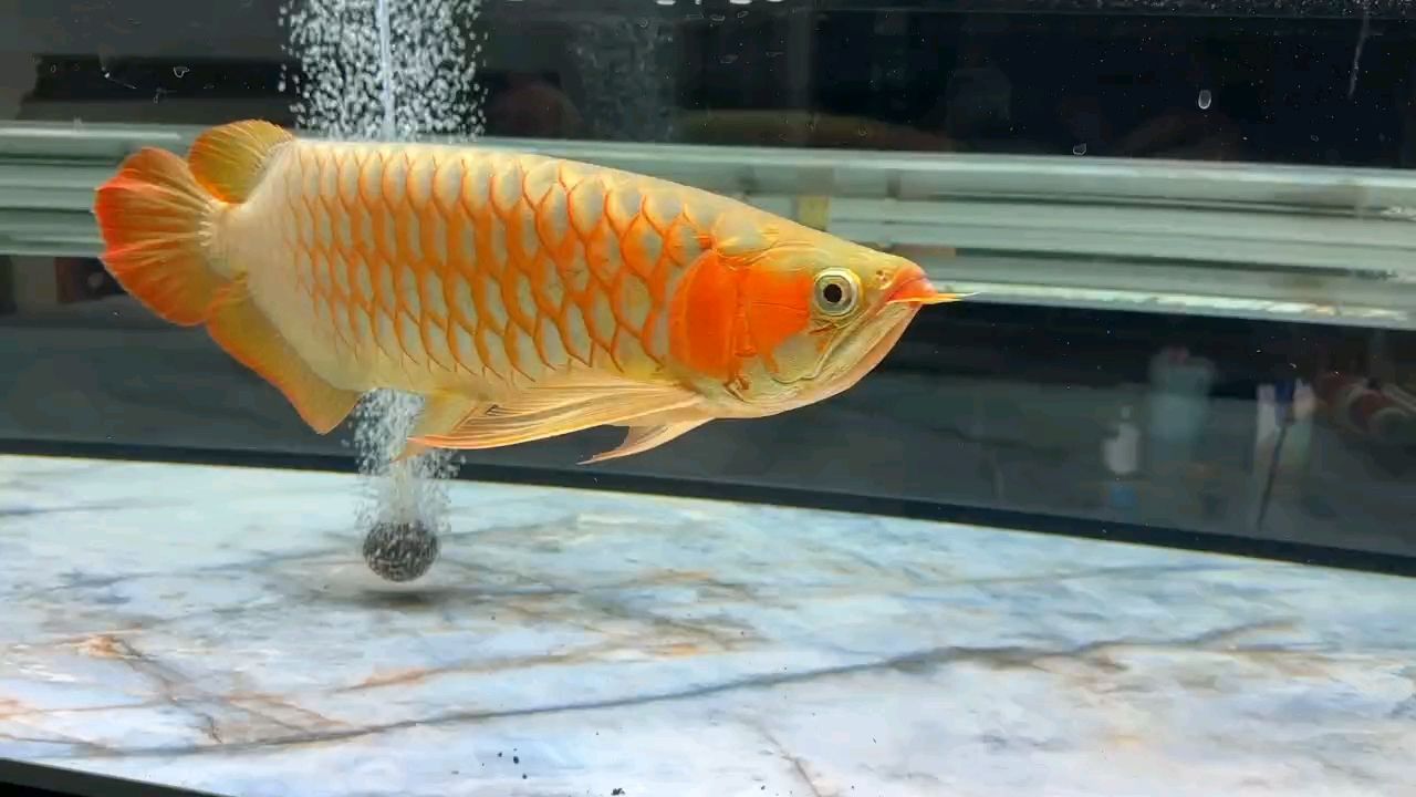 上燈兩個(gè)月變化