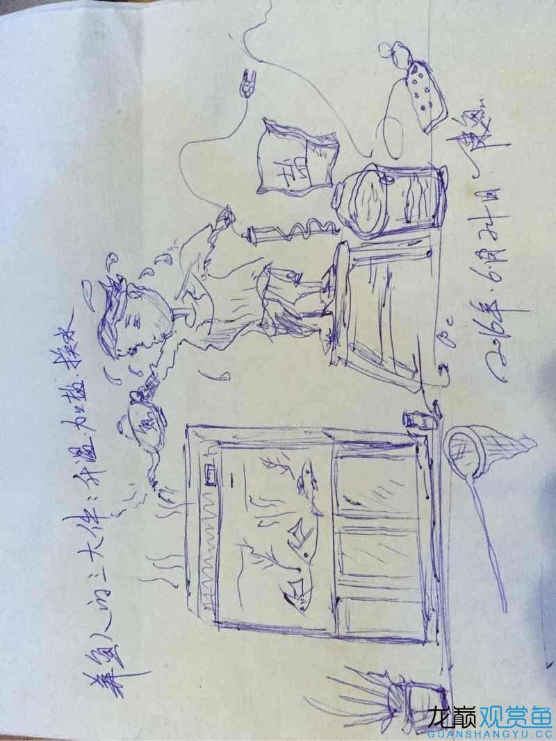 廣州觀賞魚批發(fā)市場漫畫養(yǎng)魚人的三大件