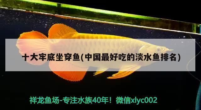 十大牢底坐穿魚(中國(guó)最好吃的淡水魚排名) 十大牢底坐穿魚(中國(guó)最好吃的淡水魚排名) 觀賞魚百科