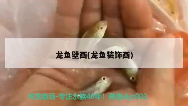 龍魚壁畫(龍魚裝飾畫) 龍魚壁畫(龍魚裝飾畫) 觀賞魚百科