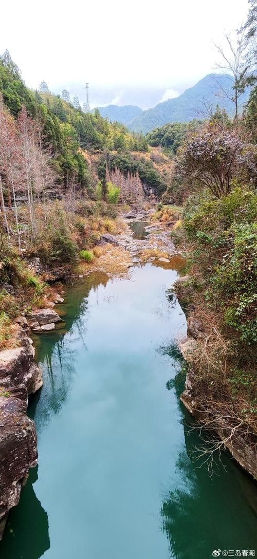 安吉溪龍鄉 安吉溪龍鄉 觀賞魚百科 第5張