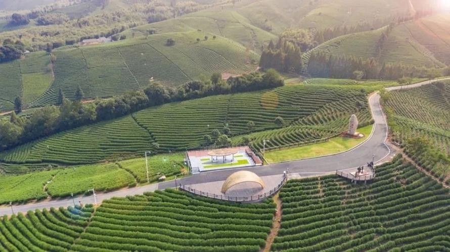 安吉溪龍鄉 安吉溪龍鄉 觀賞魚百科 第2張