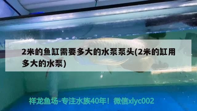 2米的魚缸需要多大的水泵泵頭(2米的缸用多大的水泵)