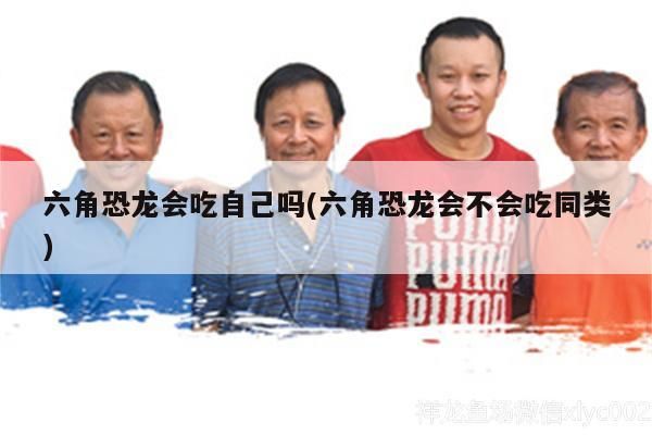 六角恐龍會(huì)吃自己?jiǎn)?六角恐龍會(huì)不會(huì)吃同類)