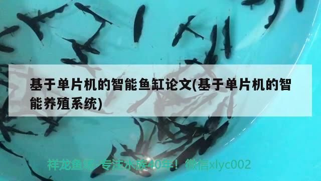 基于單片機的智能魚缸論文(基于單片機的智能養殖系統)