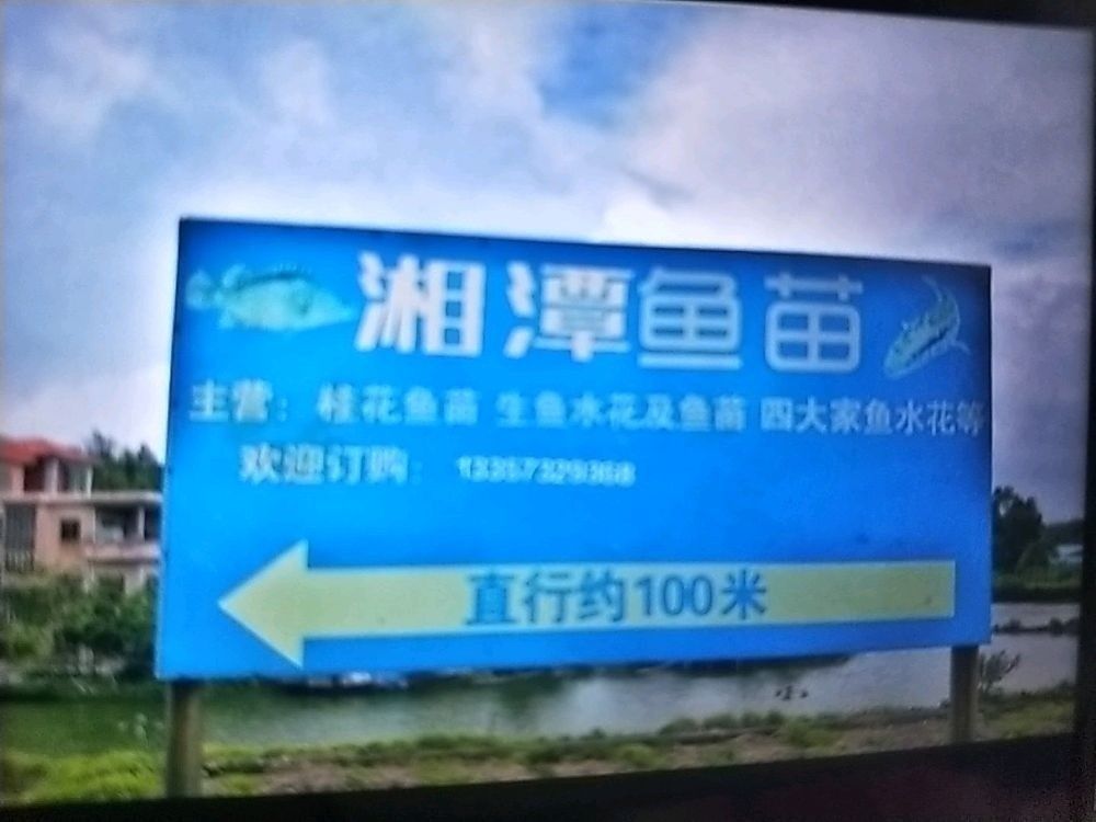 湘潭魚苗批發市場