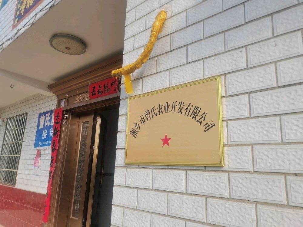 湘潭魚苗批發市場