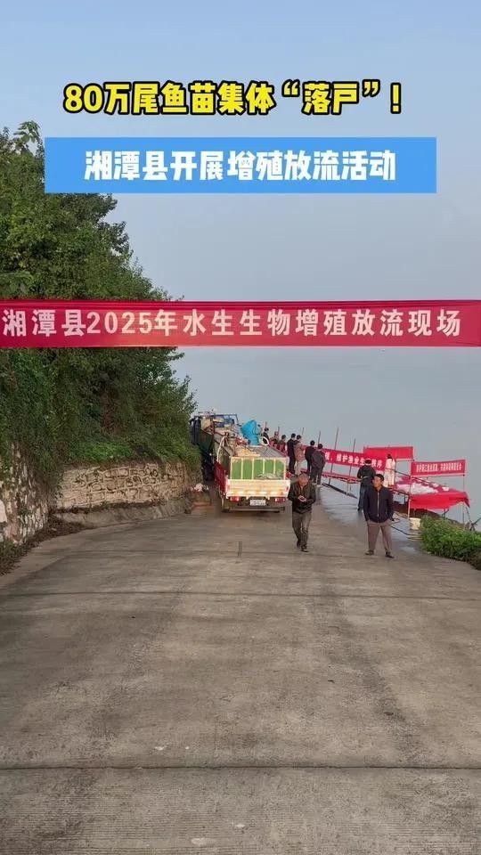 湘潭魚苗批發市場