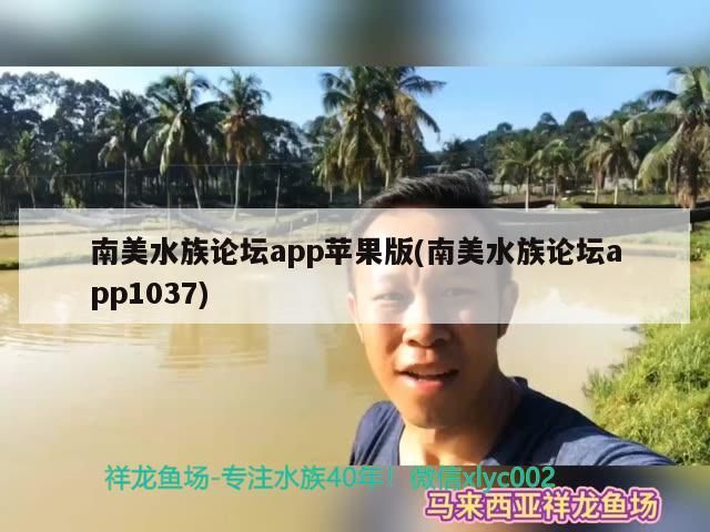 <strong><mark>南美水族</mark></strong>論壇app蘋果版(<strong><mark>南美水族</mark></strong>論壇app1037)