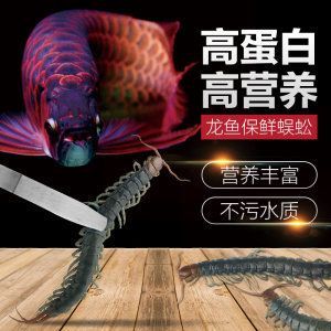 廣州市從化街口遂龍<strong><mark>水族器材</mark></strong>店（廣州從化街口遂龍<strong><mark>水族器材</mark></strong>店）