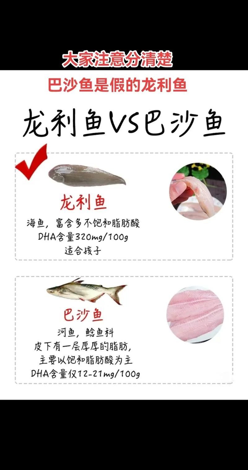 真正的龍利魚圖片