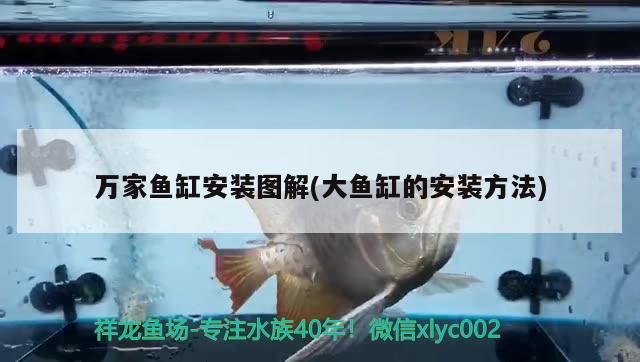 萬家魚缸安裝圖解(大魚缸的安裝方法)