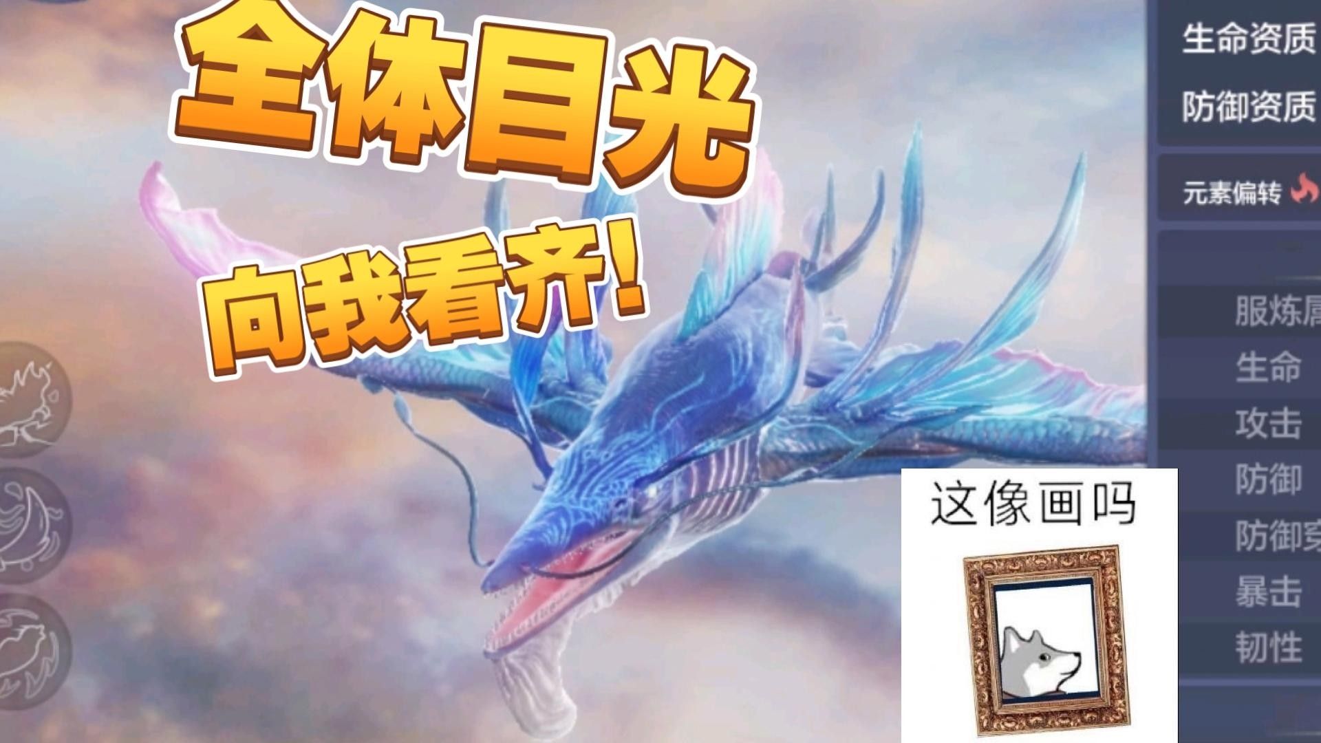陽(yáng)山龍魚