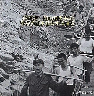 陽(yáng)山龍魚