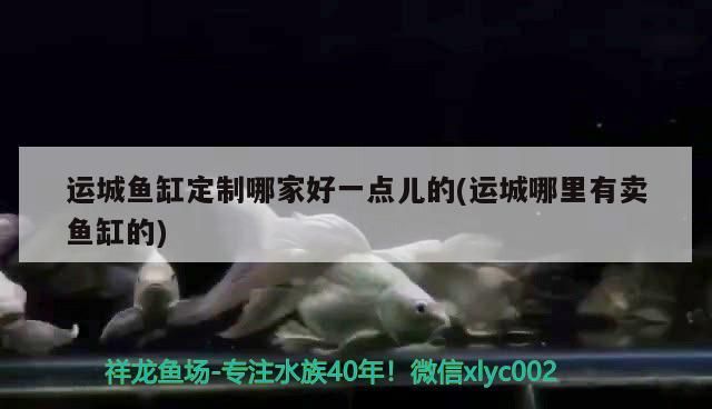 運城魚缸定制哪家好一點兒的(運城哪里有賣魚缸的)