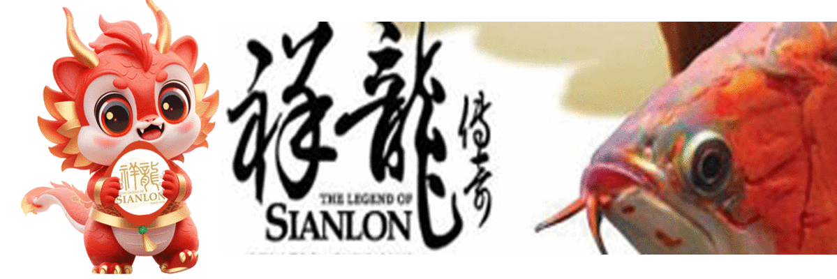 宜昌龍魚專賣店（宜昌龍魚專賣店地址）