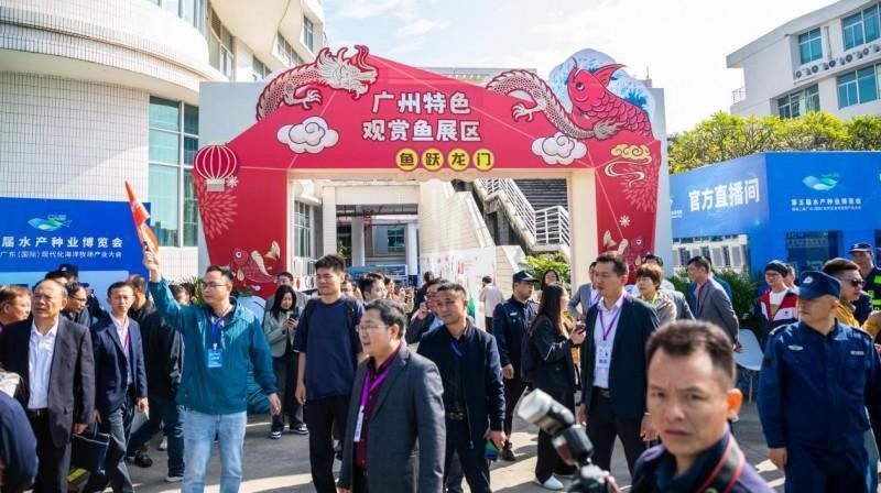 龍魚專家葉金春簡介