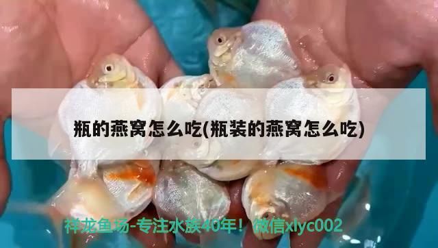 瓶的燕窩怎么吃(瓶裝的燕窩怎么吃)