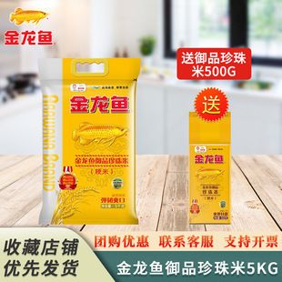 戰(zhàn)車紅龍與普通有什么不一樣嗎(紅龍戰(zhàn)車效果)