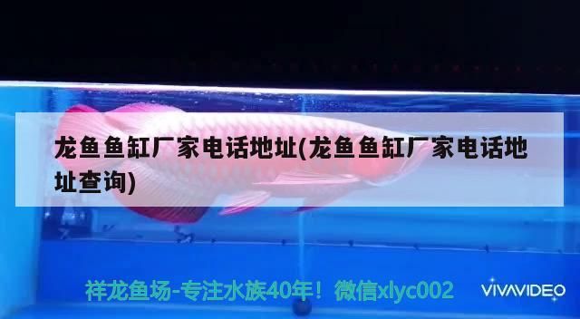 龍魚魚缸廠家電話地址(龍魚魚缸廠家電話地址查詢)