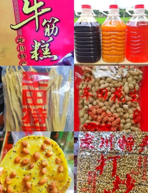 廣東龍川特產