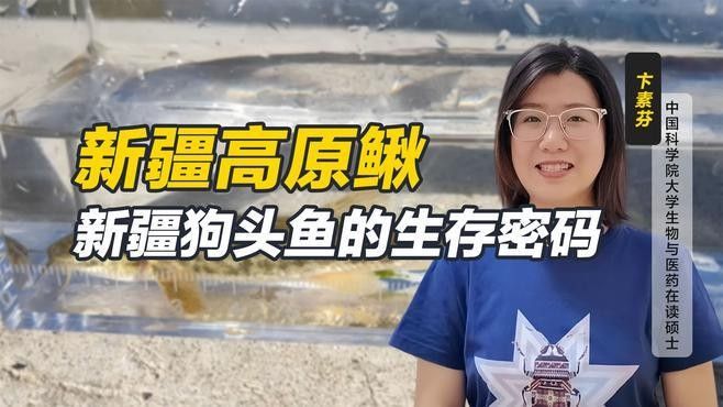 <strong><mark>新疆</mark></strong>狗頭魚