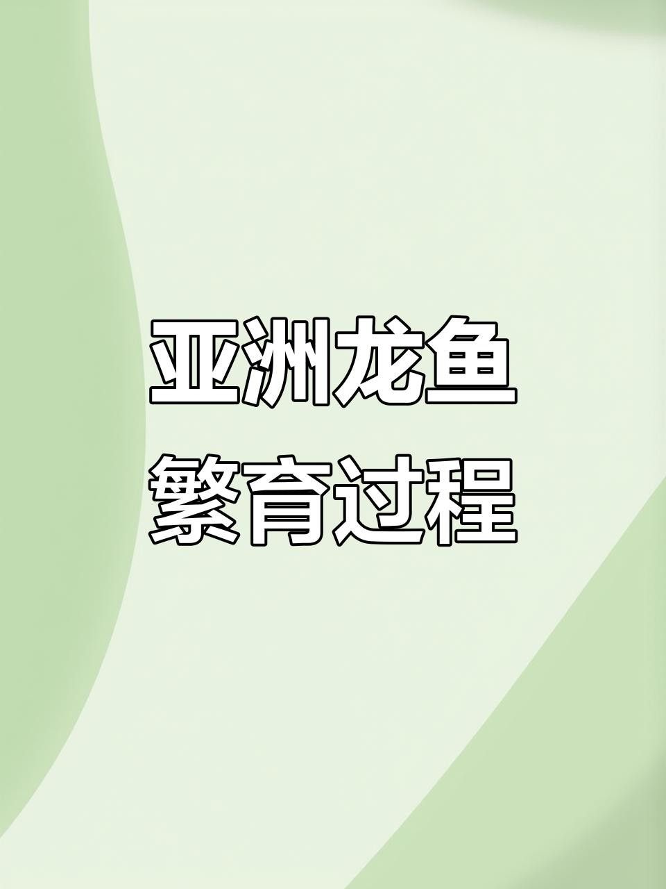 龍魚孵化小魚過程視頻