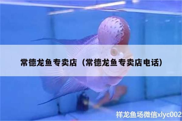 廣元龍魚專賣店：廣元哪里有賣魚缸的地方