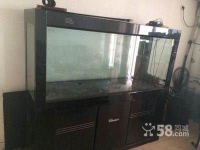 廣元龍魚專賣店：廣元哪里有賣魚缸的地方
