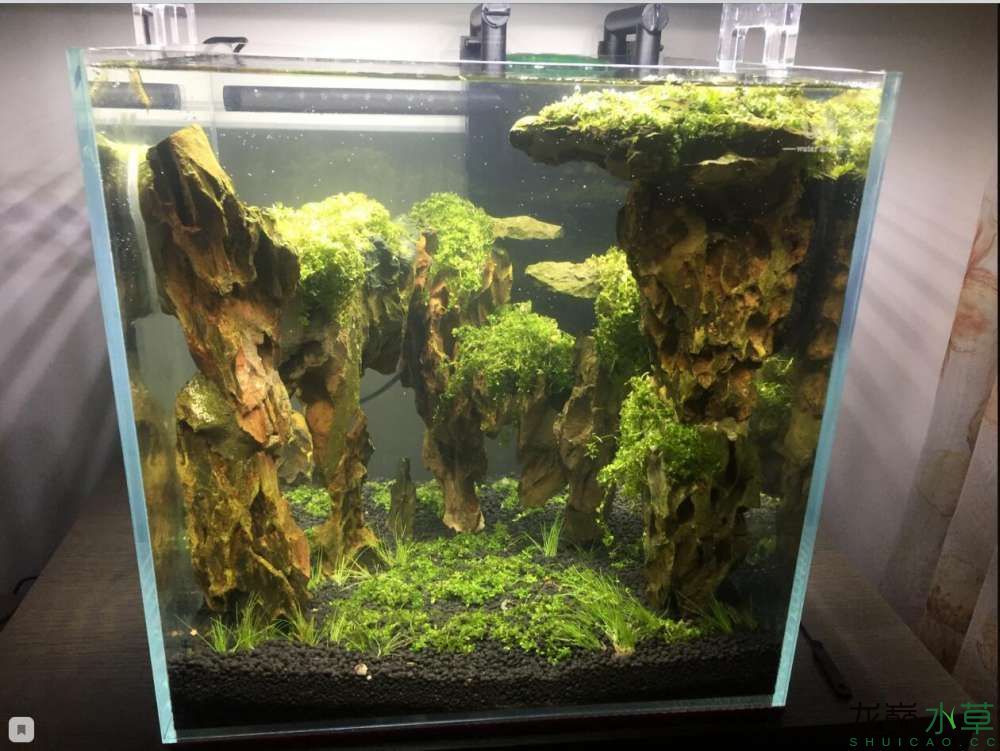 新手不懂在水族市場買了一套求指教