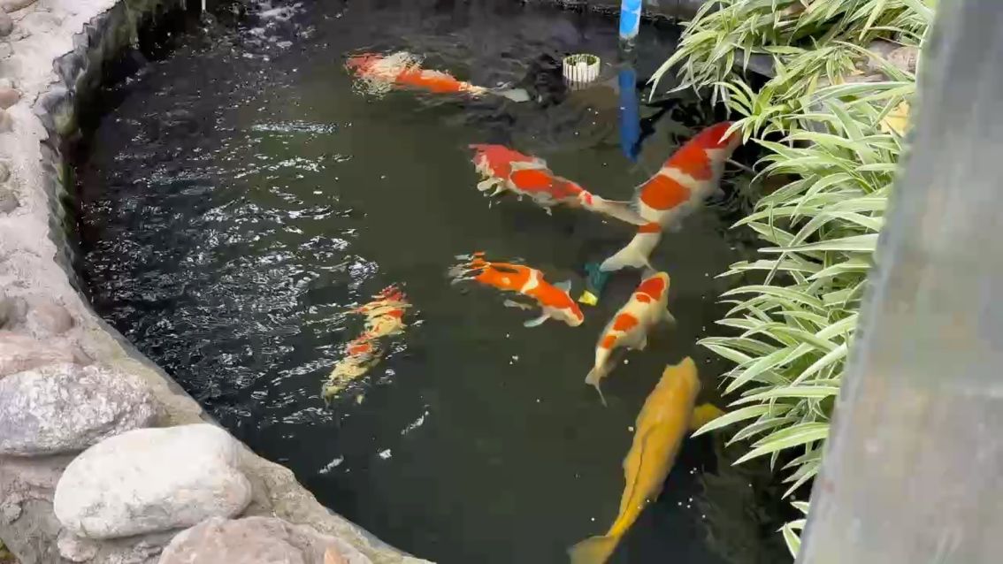 努力不一定成功，但是為不留遺憾