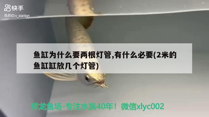 魚缸為什么要兩根燈管,有什么必要(2米的魚缸缸放幾個燈管)