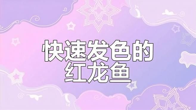 將軍紅龍魚有什么特點