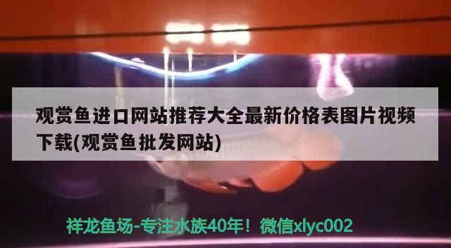 觀賞魚進(jìn)口網(wǎng)站推薦大全最新價格表圖片視頻下載(觀賞魚批發(fā)網(wǎng)站) 觀賞魚進(jìn)口網(wǎng)站推薦大全最新價格表圖片視頻下載(觀賞魚批發(fā)網(wǎng)站) 觀賞魚百科