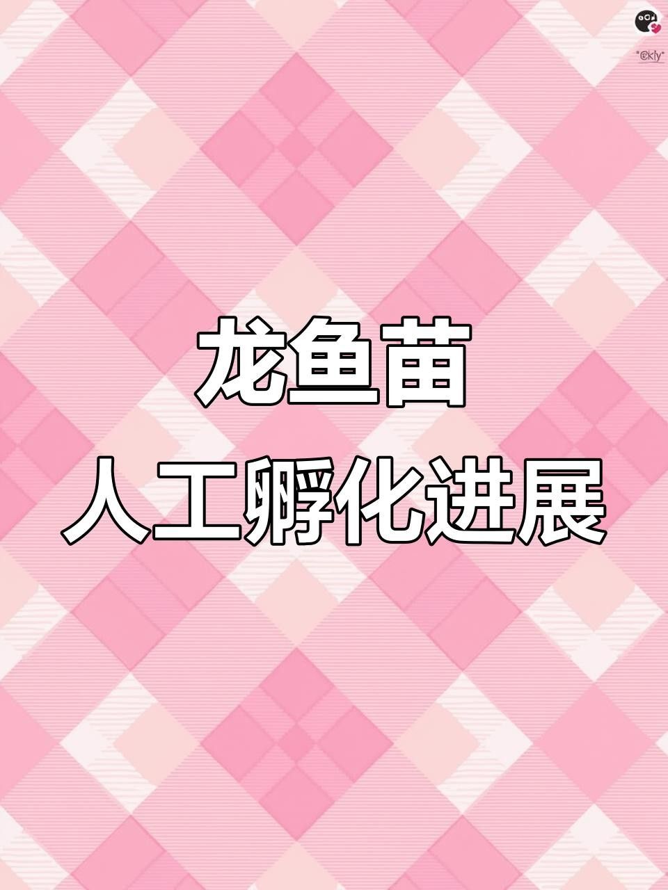 龍魚魚苗圖片欣賞視頻