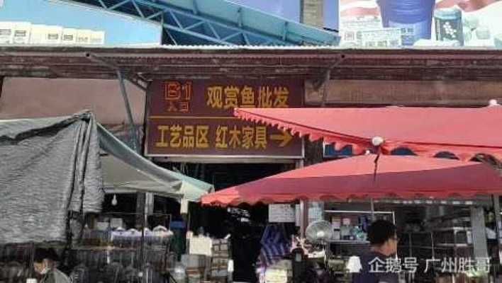 觀賞魚批發市場價格趨勢，關于觀賞魚批發市場價格趨勢的問題，您未提供具體的起始時間