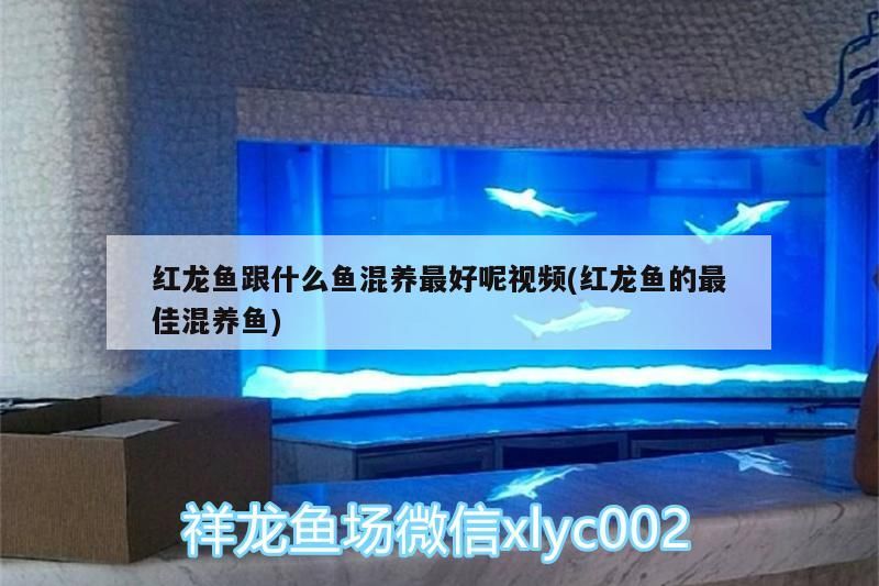 中堂裝飾建材城，新樂全自動滾筒洗衣機怎么直接脫水