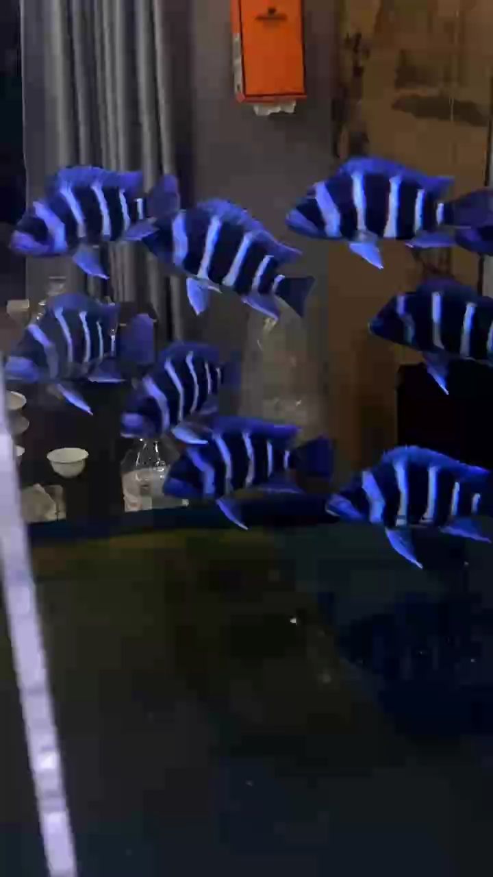 記錄透缸的日常