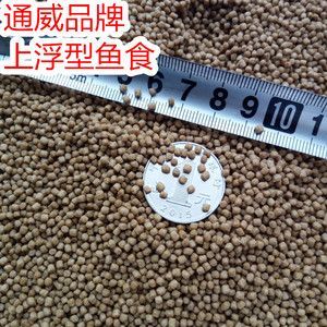 金龍魚(yú)活體魚(yú)苗批發(fā)價(jià)格表最新：金龍魚(yú)批發(fā)價(jià)格表中，最低的一千克價(jià)格是多少？
