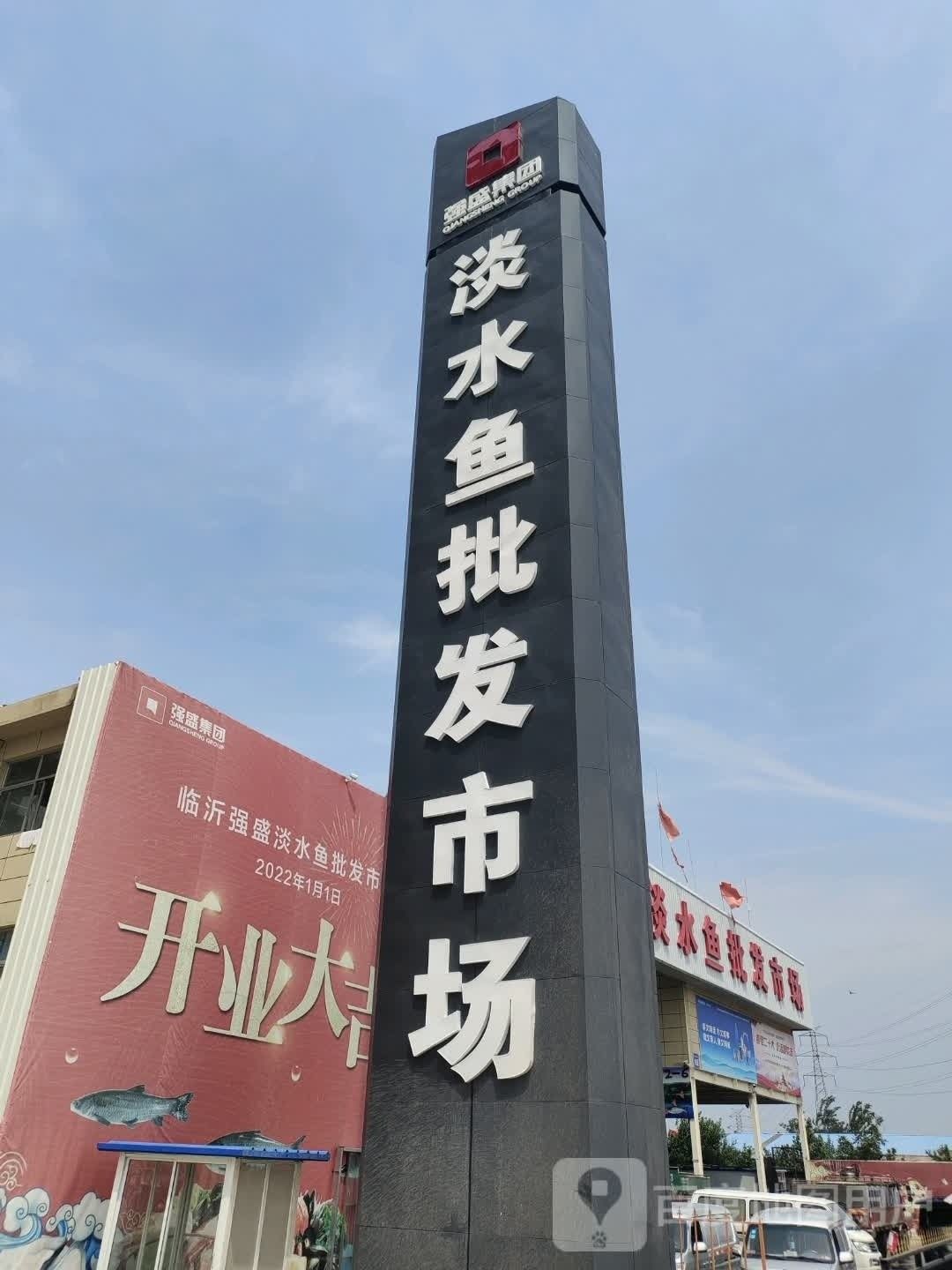 臨沂河東龍魚