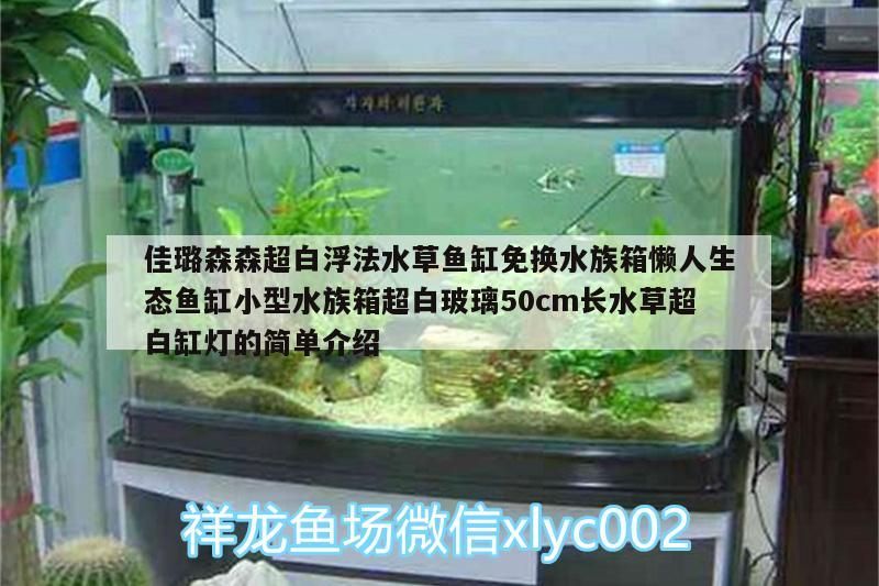 佳璐森森超白浮法水草魚缸免換水族箱懶人生態(tài)魚缸小型水族箱超白玻璃50cm長水草超白缸燈的簡單介紹