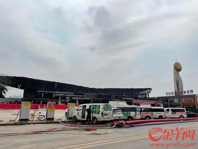 廣州百藝城花鳥市場開業(yè)了嗎今天幾點
